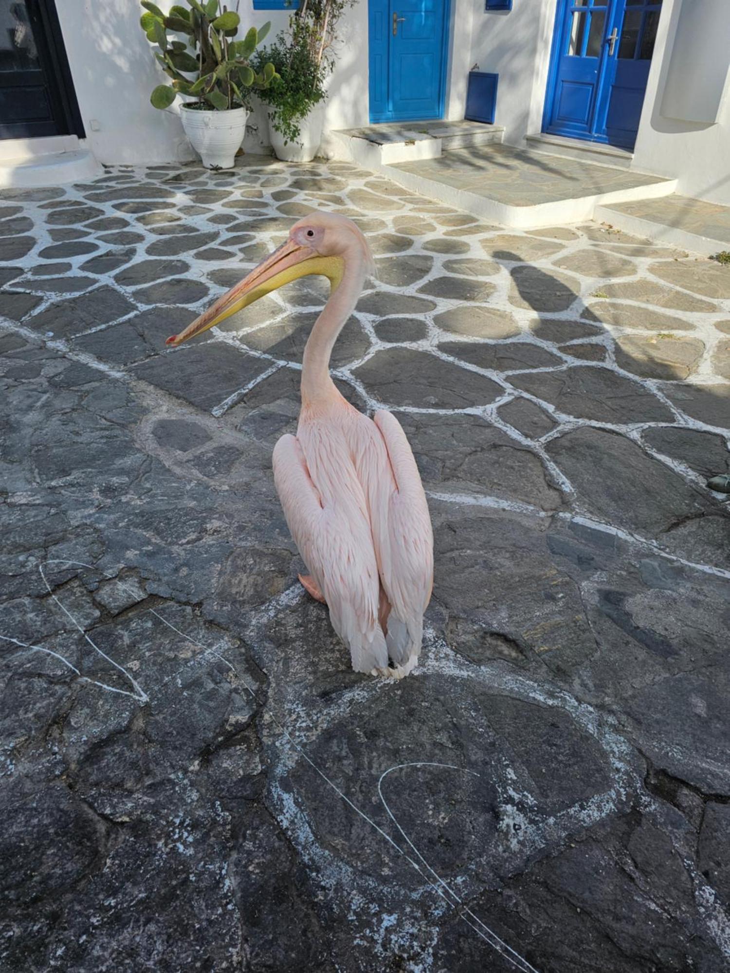 Classy Classic Mykonos Town Buitenkant foto